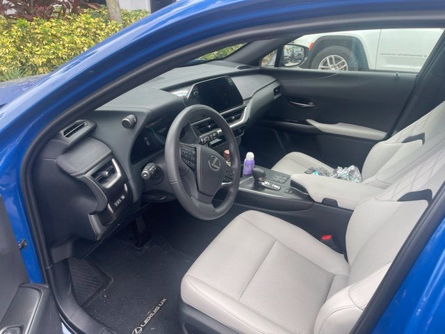 2025 Lexus UX 300h Premium
